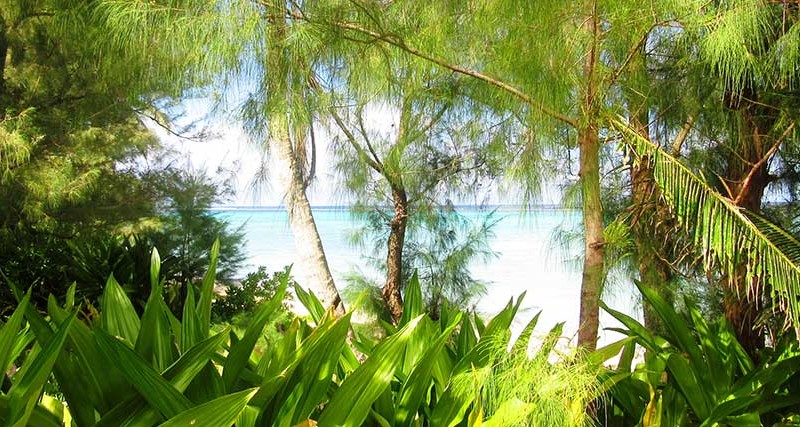 The Beach Place panorama