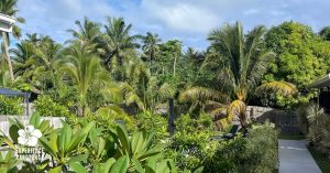 Palm Tree Villas Rarotonga tropical villa exterior with lush gardens