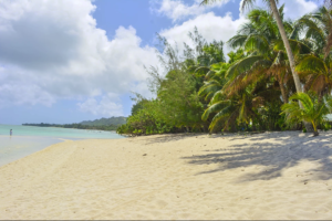 beach