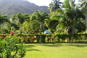 Maunga Retreat garden