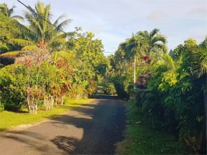 driveway to beach