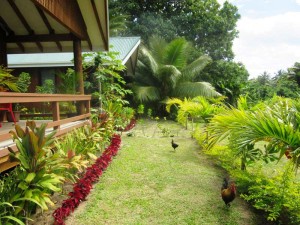 Lya's Bungalow with Chickens