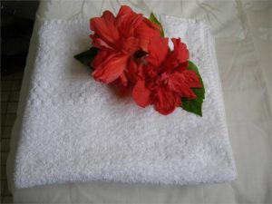 tropicalflower