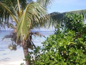 Beach View