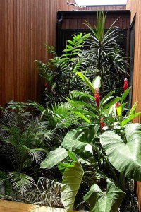 Pacific Palms atrium garden