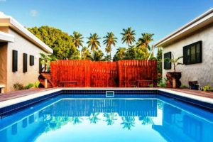 Cook Islands Holiday Villas Pool to coconut trees