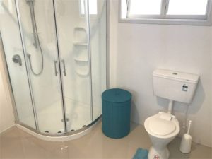 Master bedroom Shower