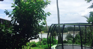 trampoline