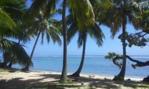 palmtrees_lagoonBreeze